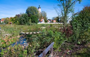 Rothauepark Horgau Wasserbeobachtung und Martinskirche